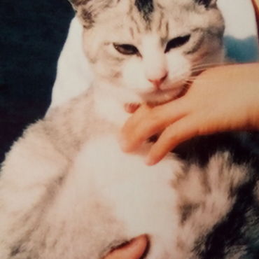 サバ白が欲しい～。