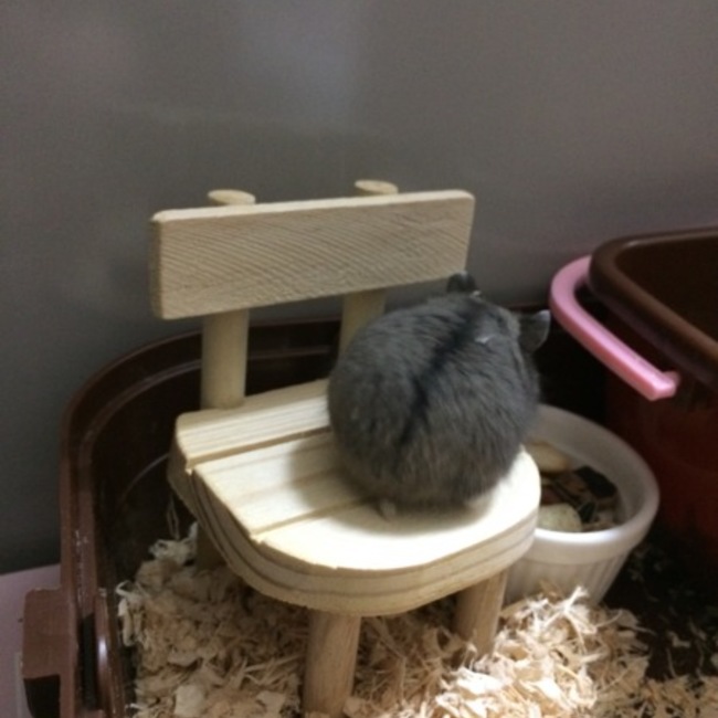 あやひろよっしーのカバー写真