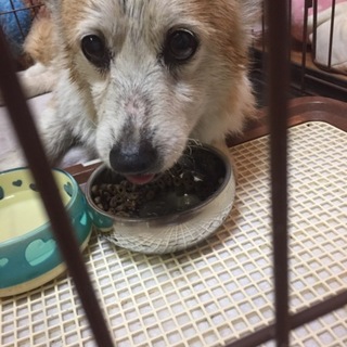 急募集‼︎お願いいたします‼︎