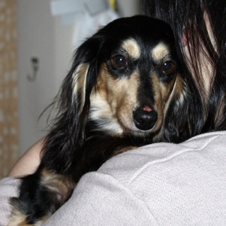 甘えん坊の食いしん坊のサランです。