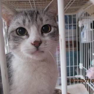 ご機嫌斜めの「えくぼちゃん」