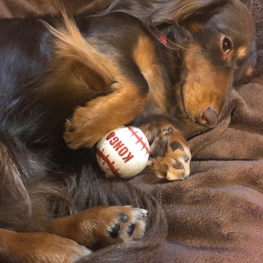 おもちゃを片付けずに一緒に寝るそうです。