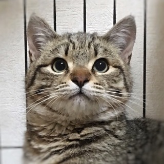 募集一時停止中☆ちまき君