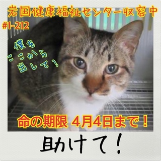 おうちが決まりました！