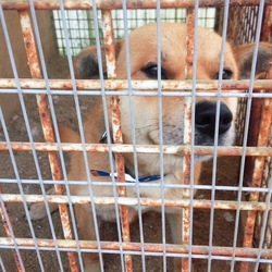 どこへ行くの？