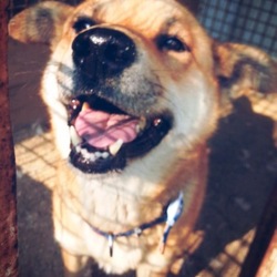 保護１日目：ぼくは、ウェスト！？