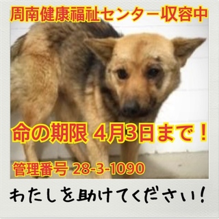 おうちが決まりました♡ありがとうございます♡