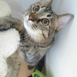 パーフェクトボーイ☆12ヶ月