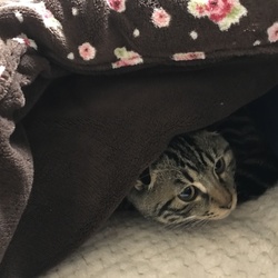 一緒にお布団へGo