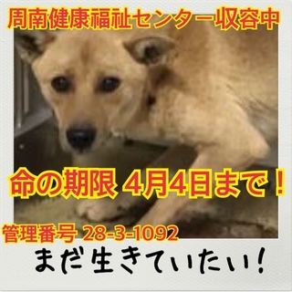 おうちが決まりました！