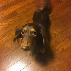 合図とテレパシー