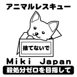 しつけ教室開催します。