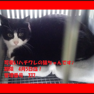 里親決定！！家族ができました(*´▽｀*)