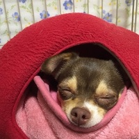 ふく