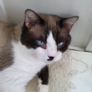 甘えん坊の「ぐれっく」♪