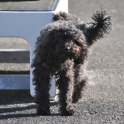 「毎日が幸せ」サムネイル2