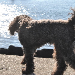 「毎日が幸せ」サムネイル3