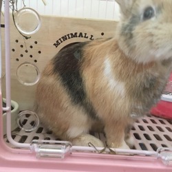 「やっと…！」サムネイル2