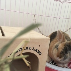 「やっと…！」サムネイル3