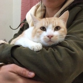 おとなしくて抱っこが好きな竹くん