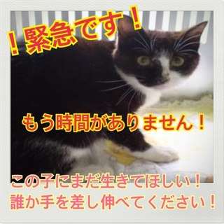 おうちが決まりました！