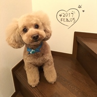 コロンチー