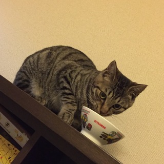 遊ぶのが好きな男の子！