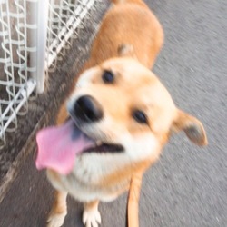 保護３日目：先生に褒められたよ！