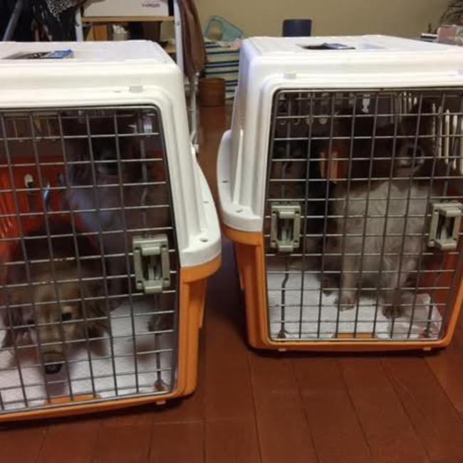 Fine＆hideのカバー写真