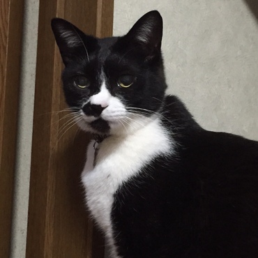 斑☆　　カメラ目線♪