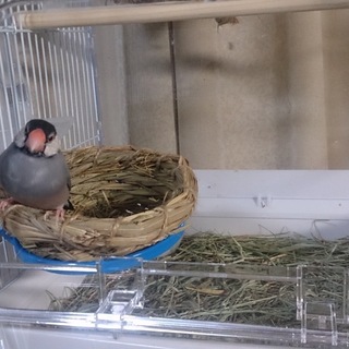 いいご縁をありがとうございました！