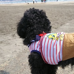 「外が好き」サムネイル2