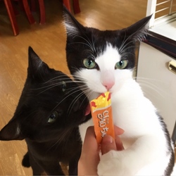 2歳になりました