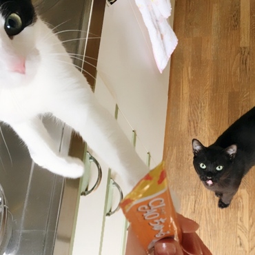 欲しいザラ〜！ 2017.4