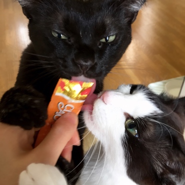 おいしい おいしい 2017.4