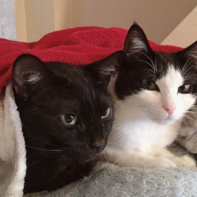 ☆ marine blue ☆のカバー写真