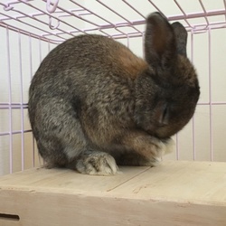 「1週間経ちました。」サムネイル2