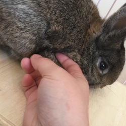 「1週間経ちました。」サムネイル3