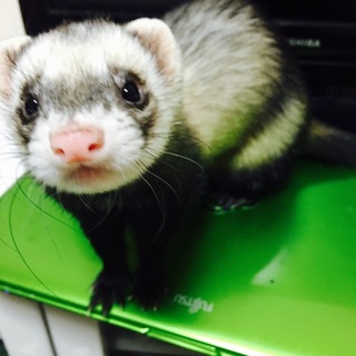 たくさんのご応募ありがとうございました。