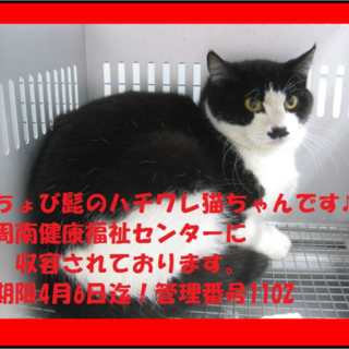 里親決定しました☆