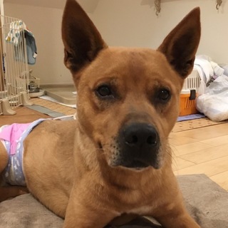 とても幸せに暮らしています