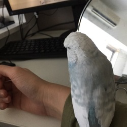 一緒にパソコン。