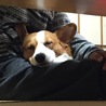の写真