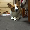 の写真