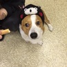 の写真
