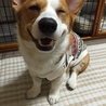 の写真