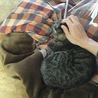 我が家にきて2日目