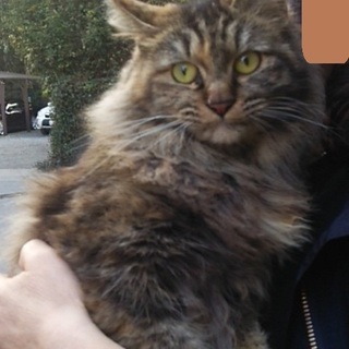 他サイトにて決定