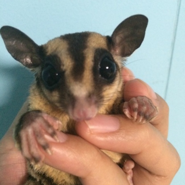 ✳︎ちなみ✳︎のカバー写真