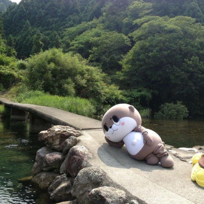 おぽんちゃんのカバー写真